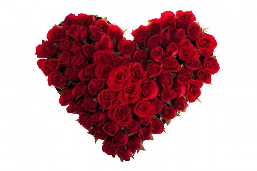玫瑰花价格疯涨，情人节为什么需要多花钱了？